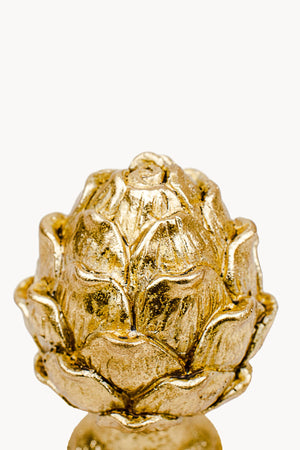 DOURADO