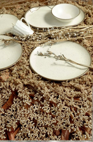 Prato Fundo Coup Vanilla