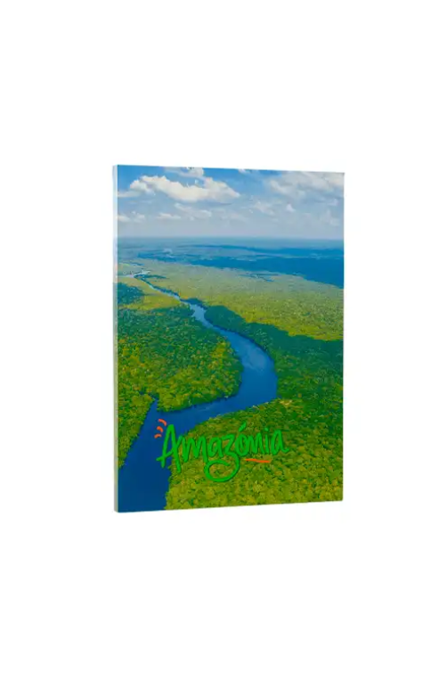 Livro Grande Caixa Decorativo Amazonia