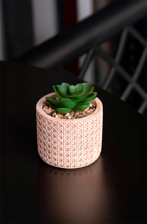 Cachepot de Cerâmica com Suculenta Treliça