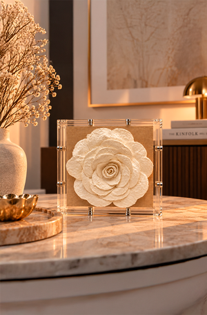 Caixa Decorativa Gardênia Branco Transparente em Acrílico