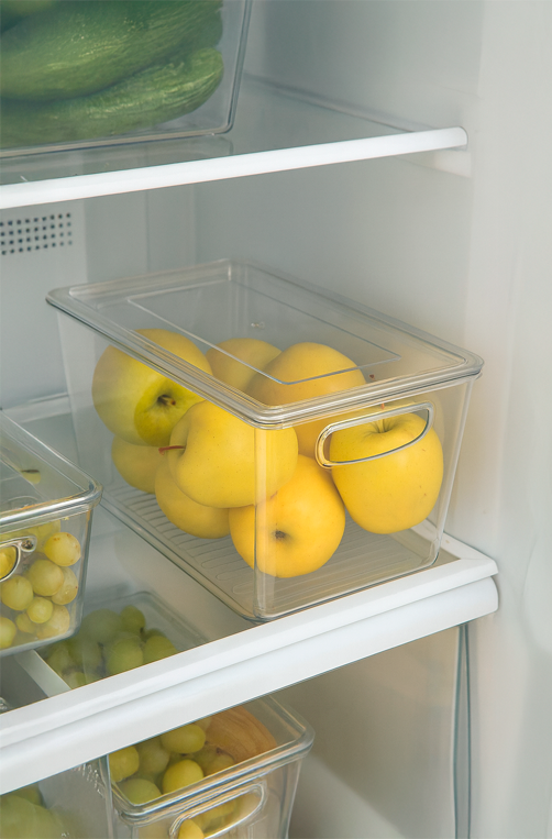 Caixa Organizadora com Alça My Box Plástico Médio