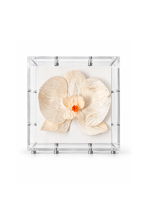 Caixa Decorativa Orquídea Branco em Acrílico