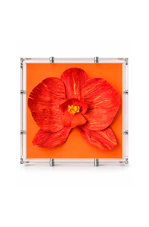 Caixa Decorativa Orquídea Laranja em Acrílico