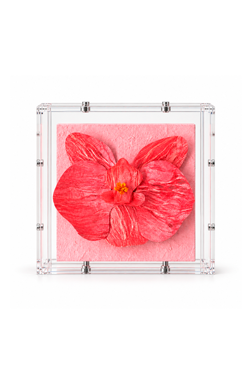 Caixa Decorativa Orquídea Rosa em Acrílico