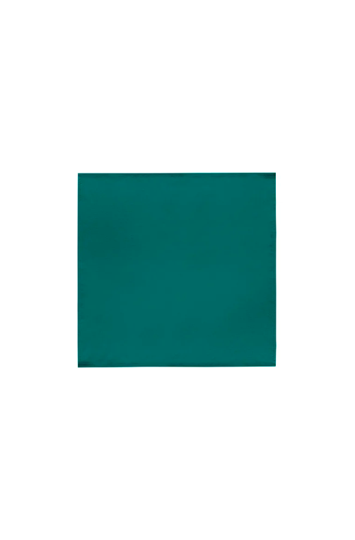 Conjunto de Guardanapos Home 45X45cm Liso Pino  4 Peças