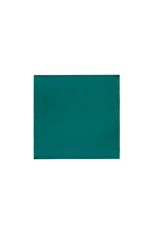 Conjunto de Guardanapos Home 45X45cm Liso Pino  4 Peças