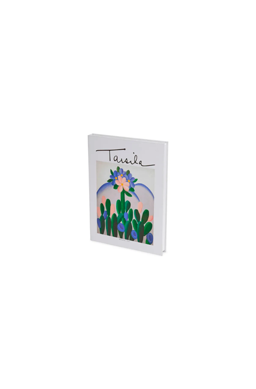 Livro Caixa Tarsila do Amaral Manacá 28CM