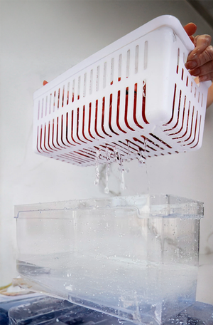 Organizador de Geladeira com Cesto 5L Clear Fresh