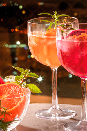 Taça de Acrilico Acqua para Gin 570ml