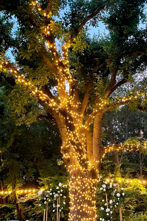 Pisca Pisca Cordão Cluster 500 Leds Branco Quente 3 M Bivolt