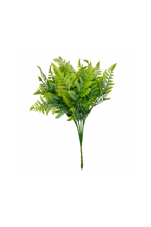 Flor Permanente Pick de Samambaia