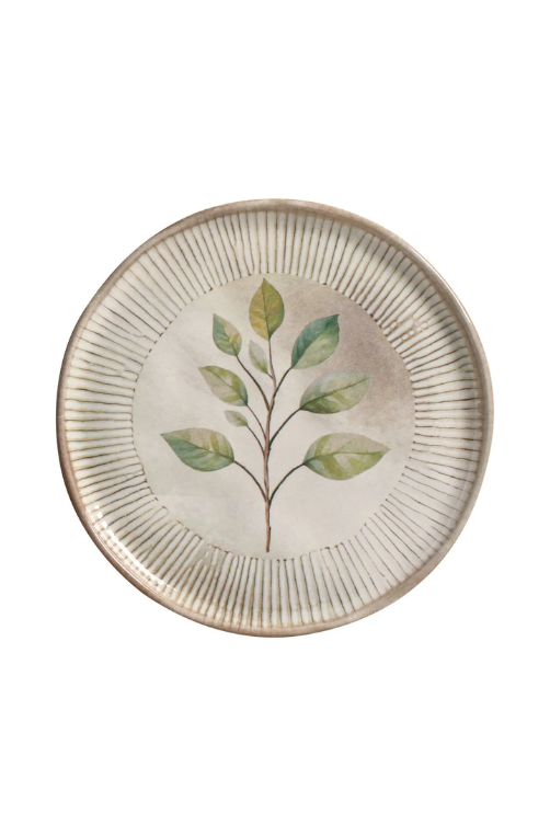 Pratos De Sobremesa Bio Evergreen