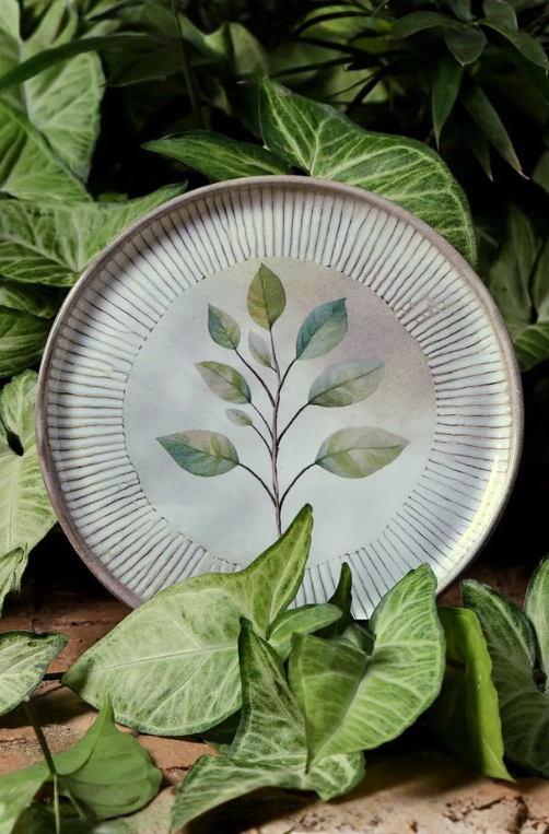 Pratos De Sobremesa Bio Evergreen