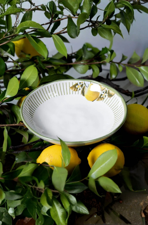 Prato Fundo Bio Lemon