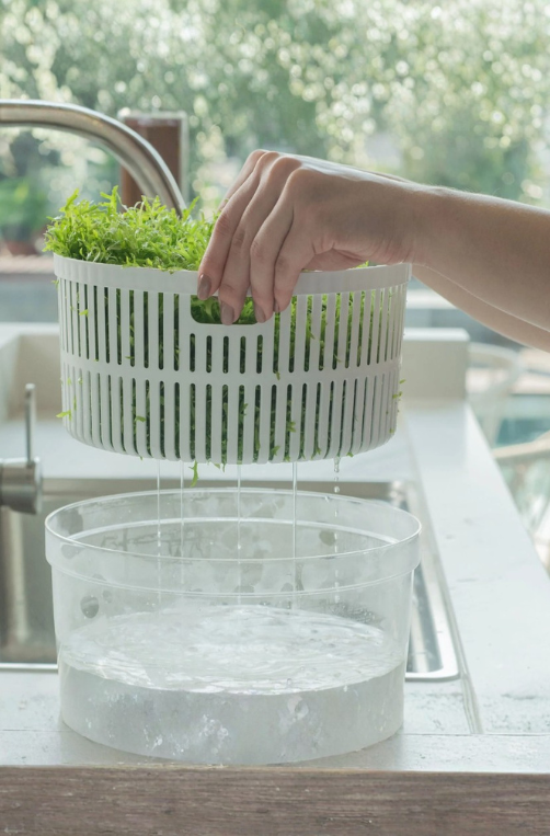 Secador Organizador de Salada Clear Fresh 5,5L