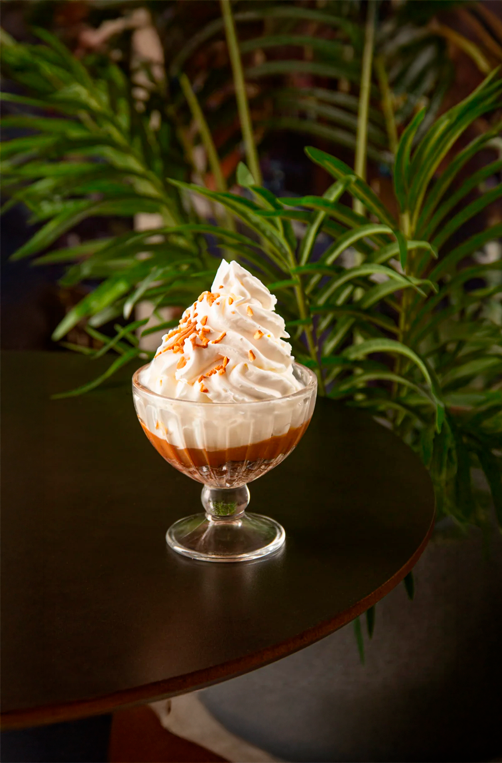 Conjunto de 6 Taça de Sobremesa de Cristal Ecológico Bangkok 260ml