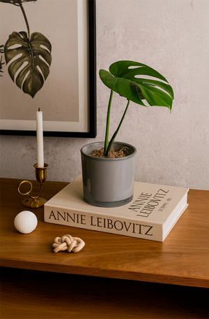 Vaso Decorativo Cilíndrico Cinza Mistico